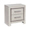 Zyniden Two Drawer Night Stand(B2114-92)